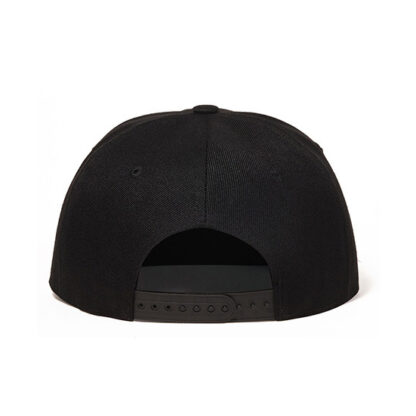 FREEBIRD99 flat billed adjustable snapback hat w40 back